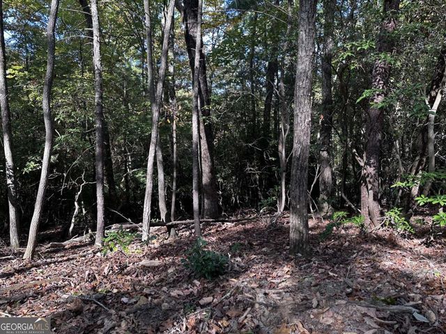 3A Turniptown Road, Ellijay, GA 30536
