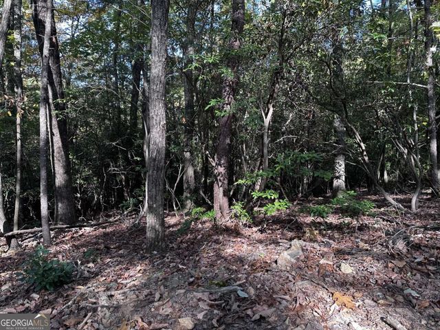 3A Turniptown Road, Ellijay, GA 30536