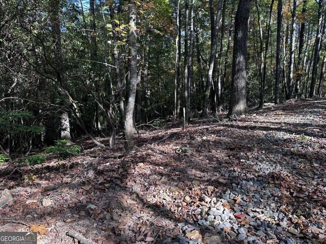 3A Turniptown Road, Ellijay, GA 30536