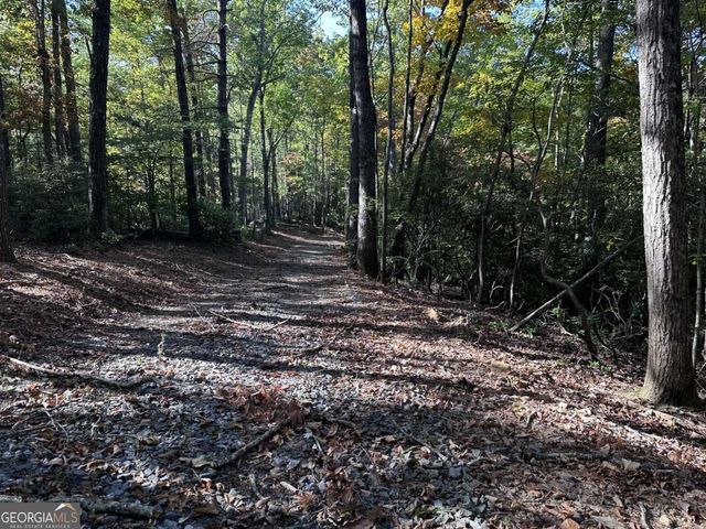 3A Turniptown Road, Ellijay, GA 30536