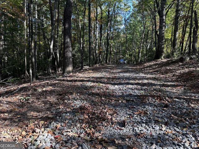 3A Turniptown Road, Ellijay, GA 30536