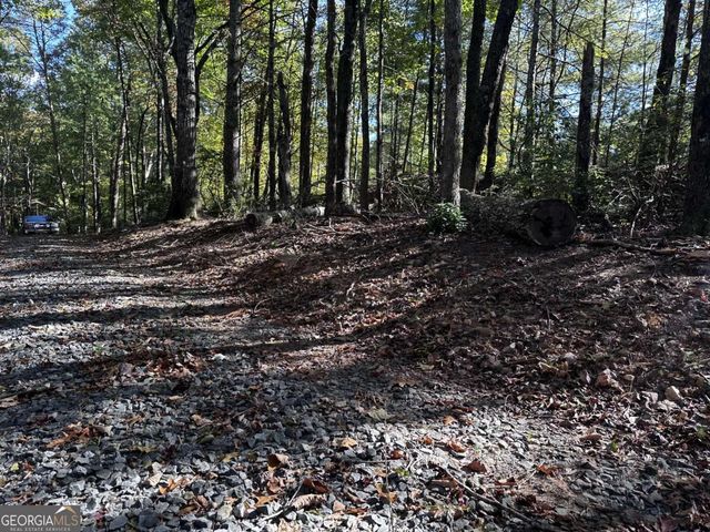 3A Turniptown Road, Ellijay, GA 30536