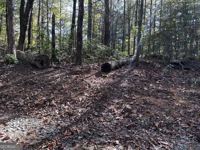 3A Turniptown Road, Ellijay, GA 30536