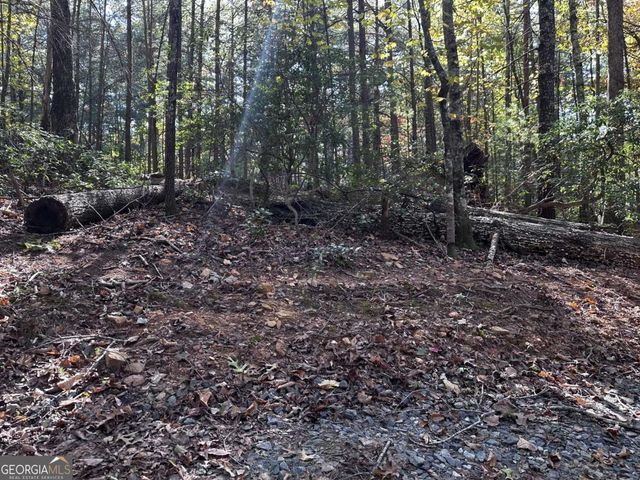 3A Turniptown Road, Ellijay, GA 30536