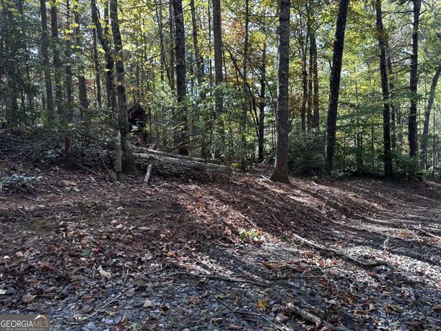 3A Turniptown Road, Ellijay, GA 30536