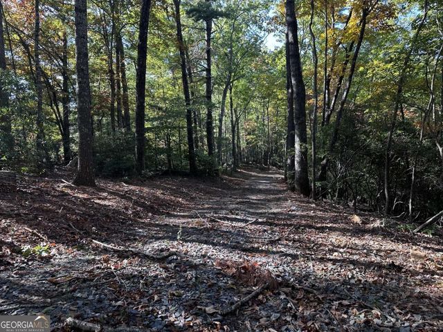 3A Turniptown Road, Ellijay, GA 30536