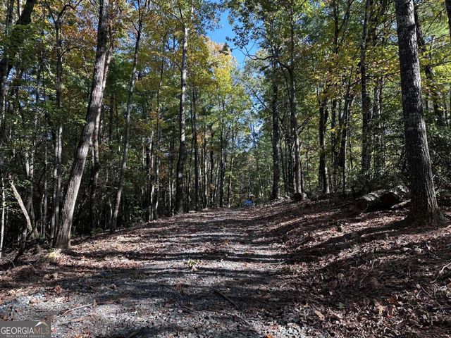 3A Turniptown Road, Ellijay, GA 30536