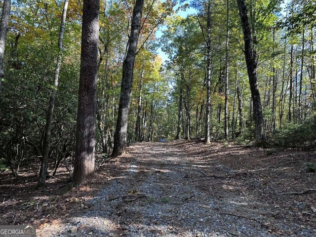 3A Turniptown Road, Ellijay, GA 30536