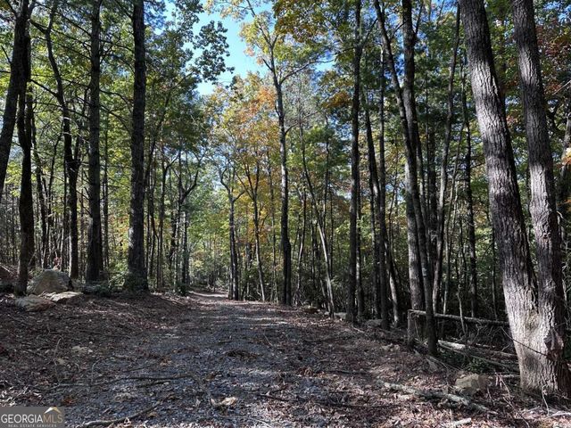 3A Turniptown Road, Ellijay, GA 30536