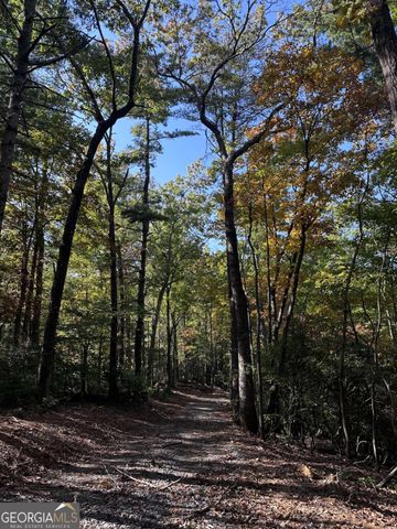 3A Turniptown Road, Ellijay, GA 30536