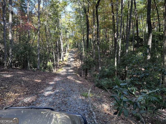 3A Turniptown Road, Ellijay, GA 30536