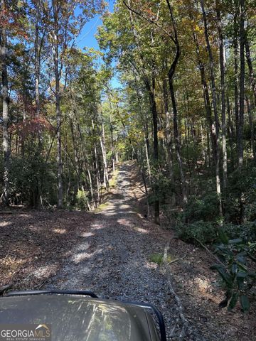 3A Turniptown Road, Ellijay, GA 30536