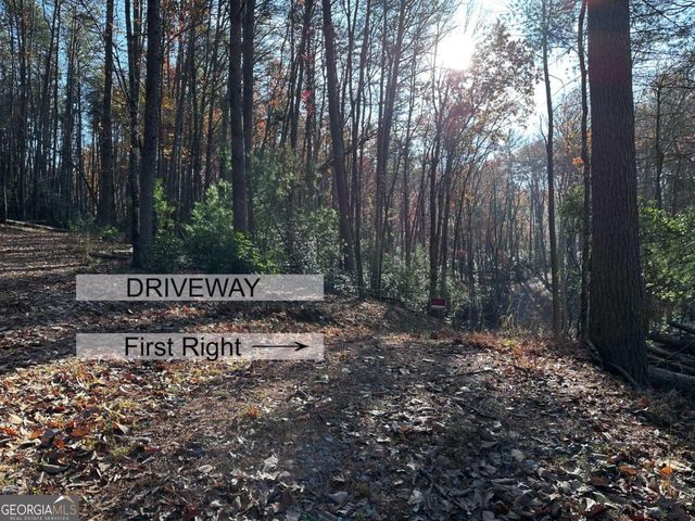 3A Turniptown Road, Ellijay, GA 30536