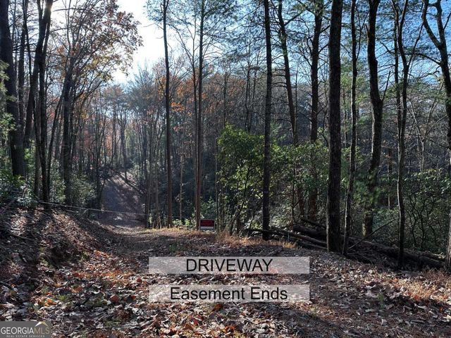 3A Turniptown Road, Ellijay, GA 30536
