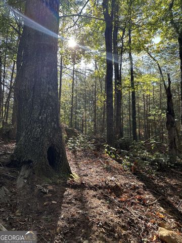 3A Turniptown Road, Ellijay, GA 30536