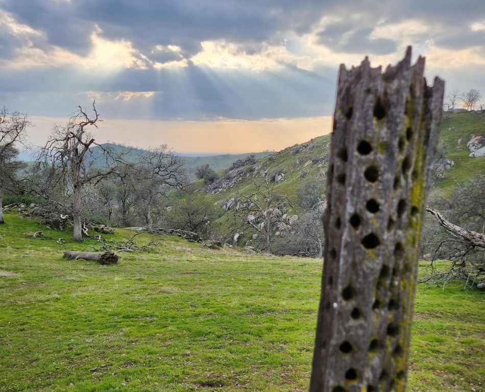 Image 38 of property listing at 31602 Tumbleweed Lane, Yokuts Valley, CA 93675