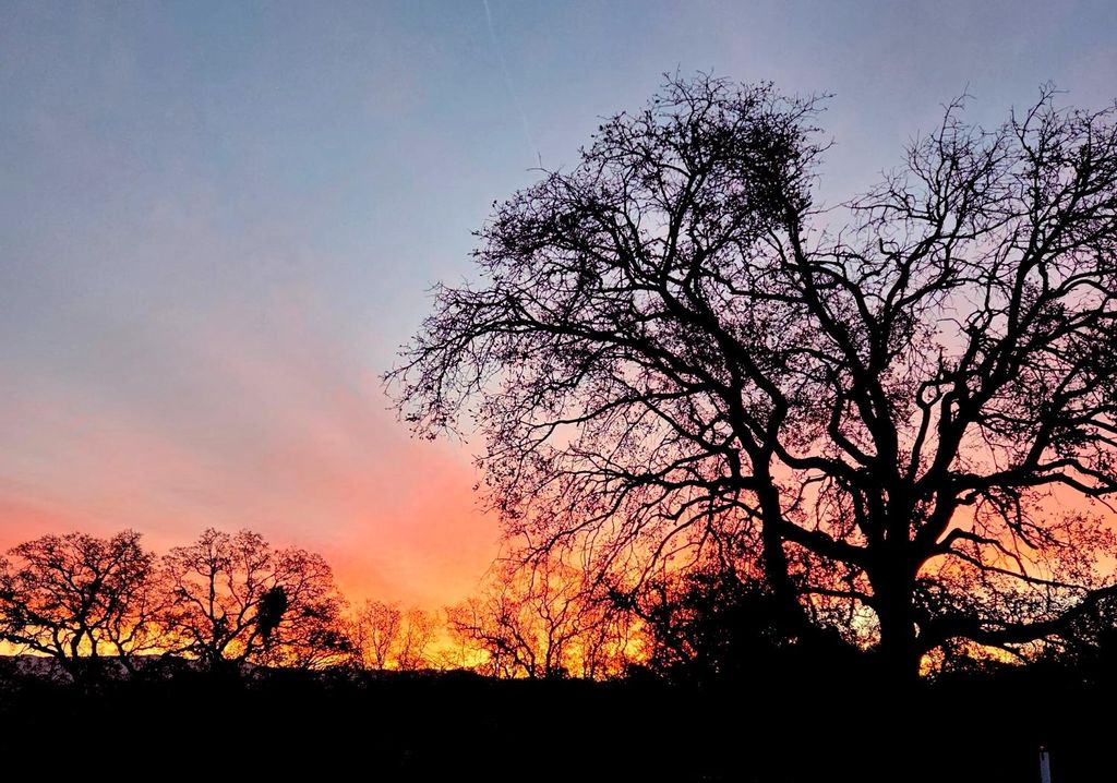 Image 46 of property listing at 31602 Tumbleweed Lane, Yokuts Valley, CA 93675