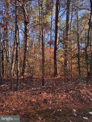 21039 HERMANVILLE ROAD, Lexington Park, MD 20653