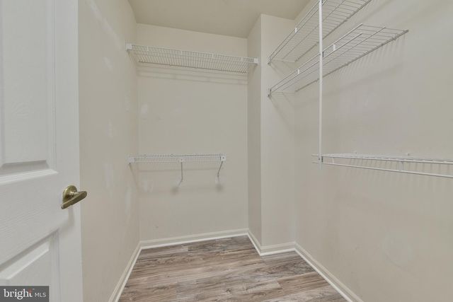 35 NUTMEG, Newtown, PA 18940