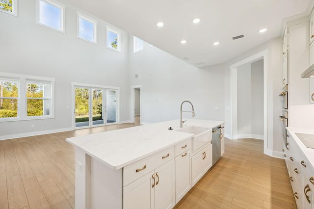 93 Orman Court, Watersound, FL 32461