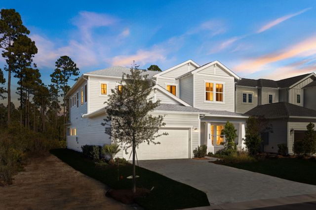 93 Orman Court, Watersound, FL 32461