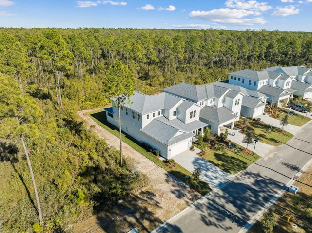 93 Orman Court, Watersound, FL 32461