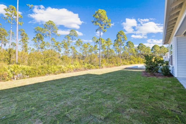 93 Orman Court, Watersound, FL 32461