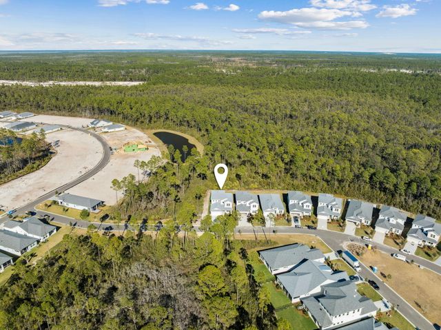 93 Orman Court, Watersound, FL 32461