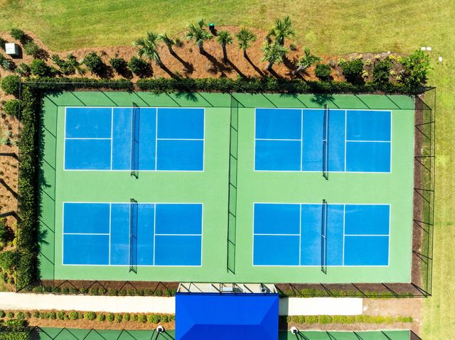 93 Orman Court, Watersound, FL 32461