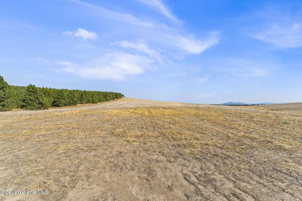 8597 W Rolling Hills Road, Worley, ID 83876 photo 22