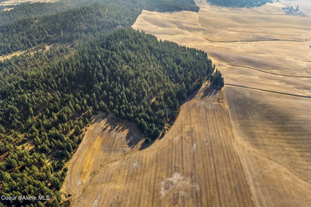 8597 W Rolling Hills Road, Worley, ID 83876 photo 30