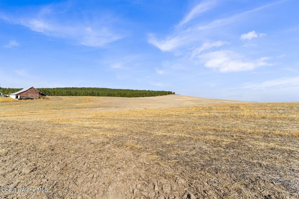 8597 W Rolling Hills Road, Worley, ID 83876 photo 33