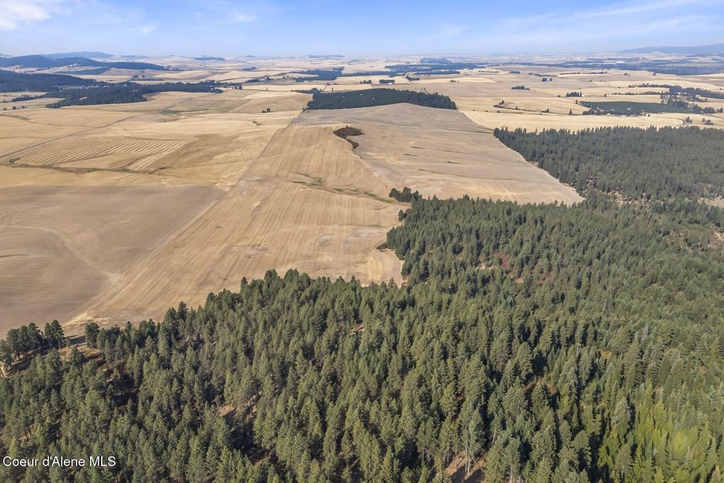 8597 W Rolling Hills Road, Worley, ID 83876 photo 41