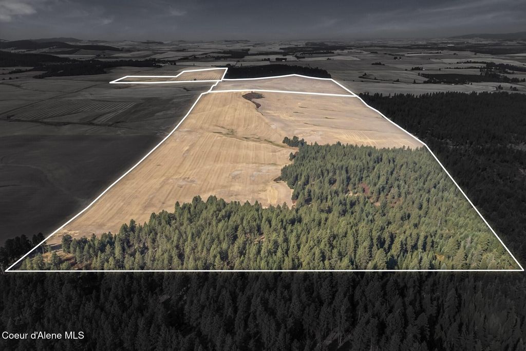 8597 W Rolling Hills Road, Worley, ID 83876 photo 6