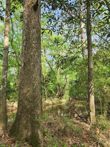 TBD Ward Road, Cleveland, TX 77328