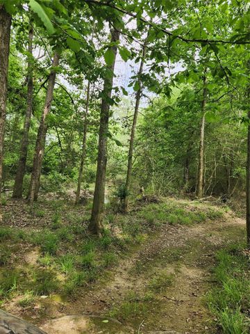 TBD Ward Road, Cleveland, TX 77328