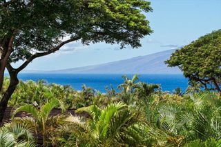 46 N Iwa Pl, Lahaina, HI 96761