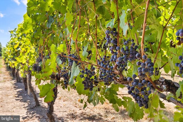 24428 CABERNET LN, Lewes, DE 19958