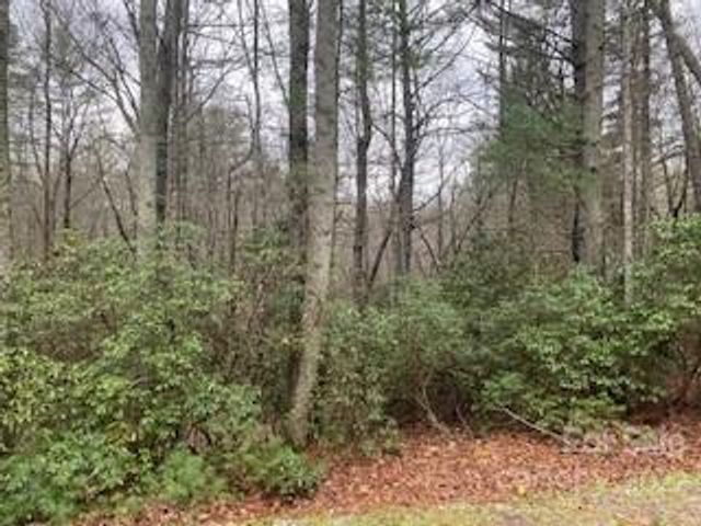 TBD Salola Lane U04-L033, Brevard, NC 28712