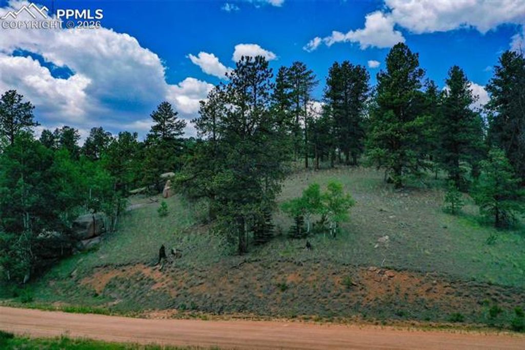 525 Spring Valley Lane, Florissant, CO 80816 — photo 2