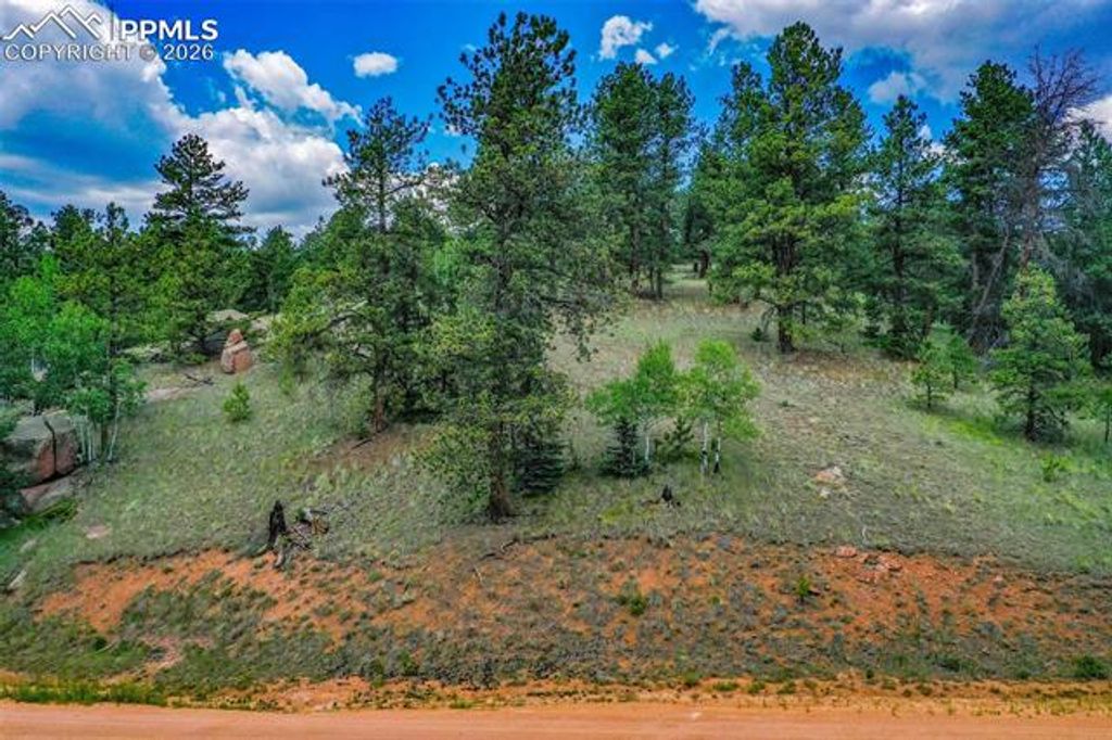 525 Spring Valley Lane, Florissant, CO 80816 — photo 3