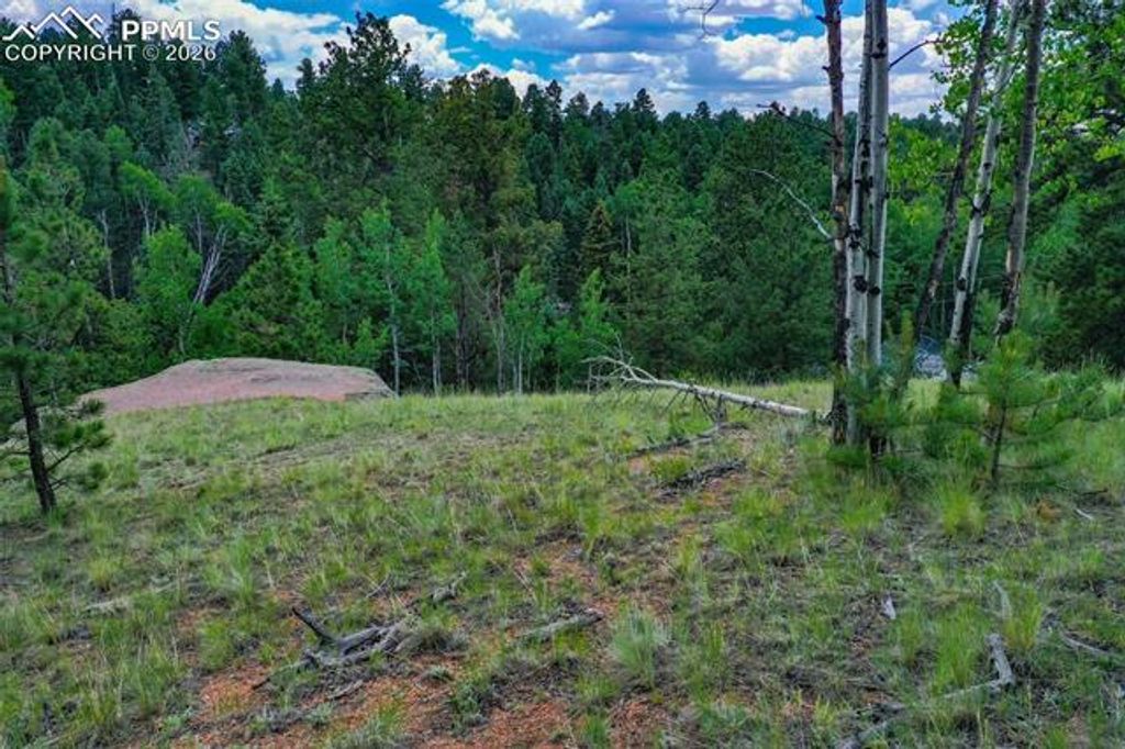 525 Spring Valley Lane, Florissant, CO 80816 — photo 5