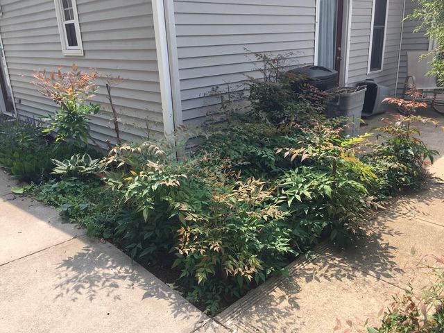 242 Garrett Avenue, Brooksville, KY 41004