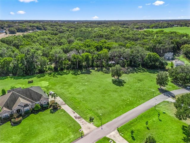 SE 156TH LANE, Weirsdale, FL 32195