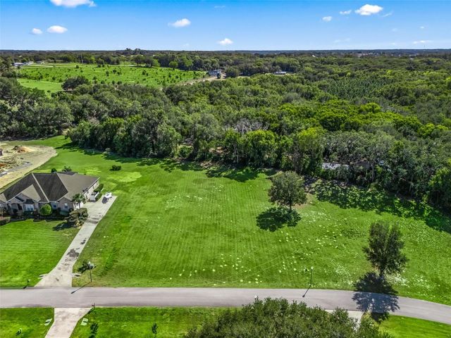 SE 156TH LANE, Weirsdale, FL 32195