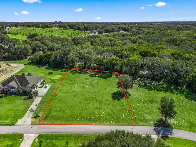 SE 156TH LANE, Weirsdale, FL 32195