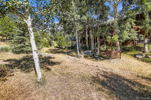 42 Catamount Ridge Road, Bailey, CO 80421