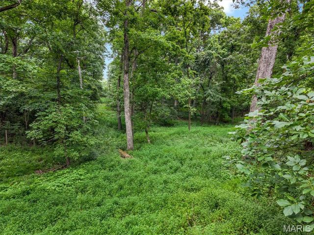 436 Shadowridge Court, Ballwin, MO 63011