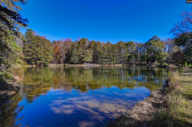 1155 Russ Brown Road, Blythewood, SC 29016