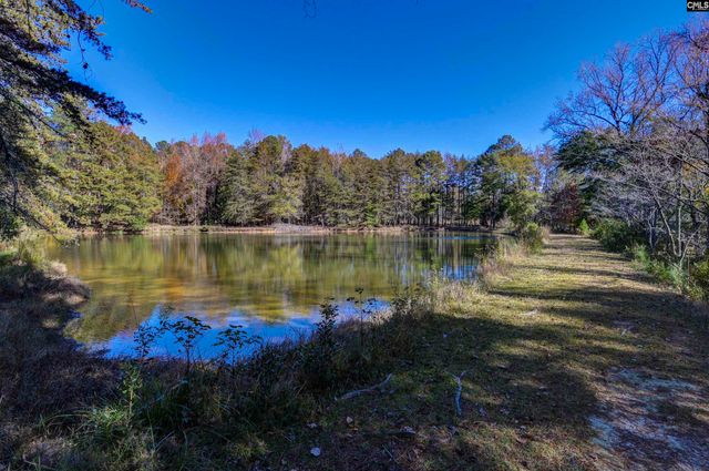 1155 Russ Brown Road, Blythewood, SC 29016